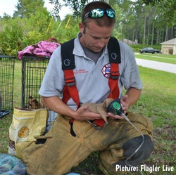 firefighter giving oxygen to a puppy