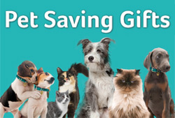 PDSA Pet Saving Gifts