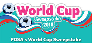 PDSA World Cup Sweepstake