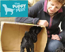 The Puppy Socialisation Plan