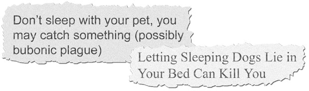 the media headlines saying sleeping with pets is bad for our health