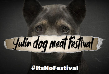 Stop the Yulin Dog Meat Festival