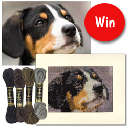 win a tapestry kit of your dog