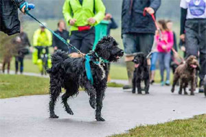 Woof Walkies for Cancer Research UK