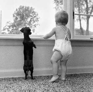 cute dog and baby pic