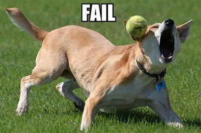 dog fails catching ball