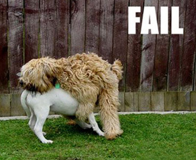 dog humping fail