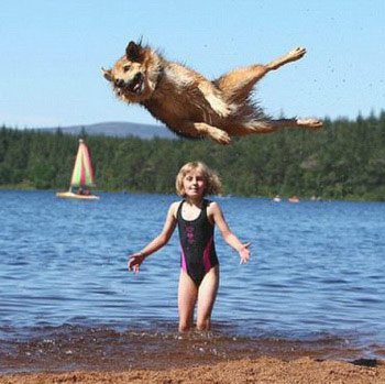 little girl on beach photobombed by dog