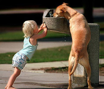 dog and child water fountain