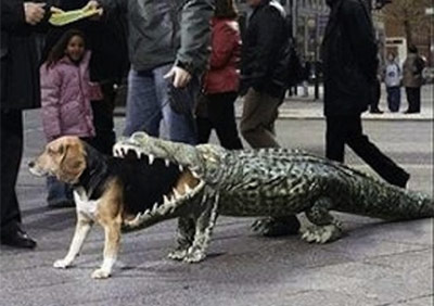 dog crocodile costume