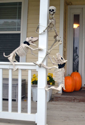 halloween funny skeleton dogs with human skeleton