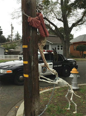 skeleton dog and skeleton man up tree