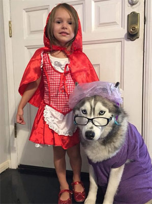 halloween red riding hood with dog granny