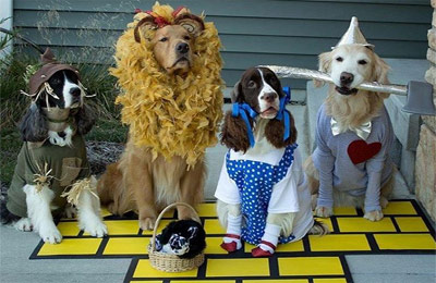 dogs dressed as Wizard of Oz characters