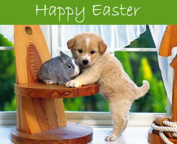 happy easter dog and bunny