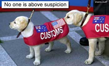 funny dog pic customs