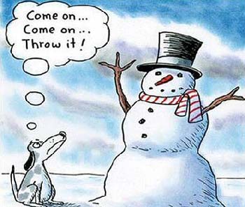 funny dog waiting for snowman to throw stick arm