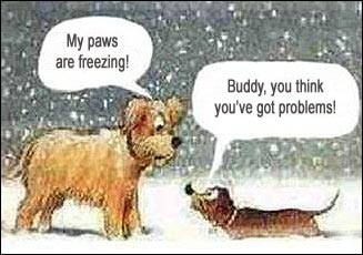 funny dogs in snow cartoon