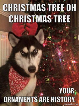 dog and Christmas tree decorations