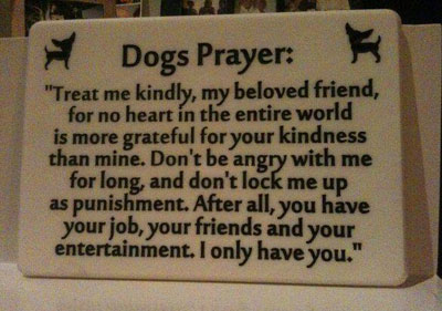 Dogs Prayer I Only Have You