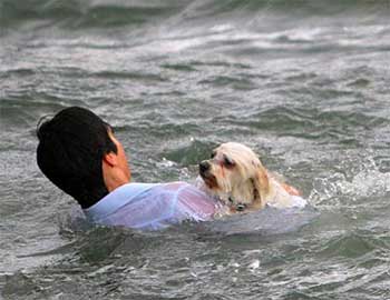man helps dog in water