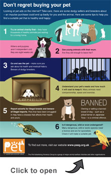 PAAG buying a pet online infographic