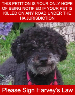 Dog Road Death Rule Change