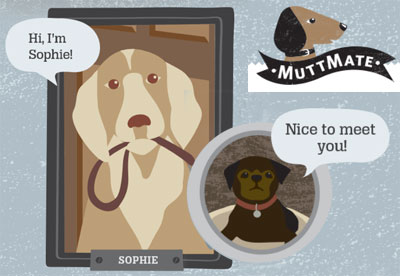 MuttMate Dog Social Networking Website