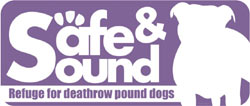Safe and Sound - Saving Pound Dogs