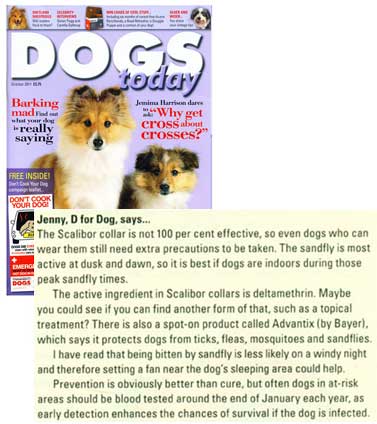 Dogs Today October 2011