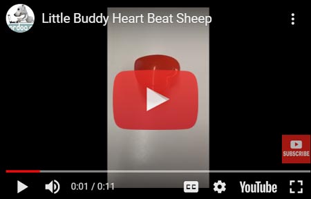 Little Buddy Heart Beat Sheep puppy comfort toy
