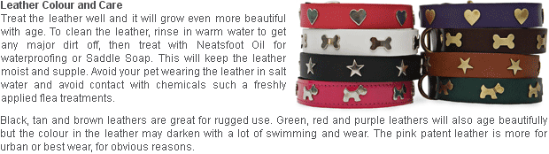 leather dog collar uk