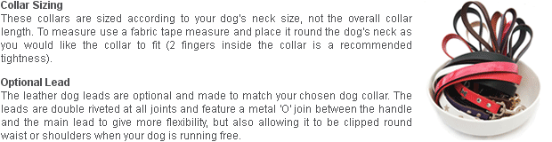 leather dog collar uk