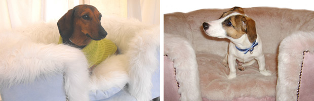 Luxury Dog Bed The Rufford