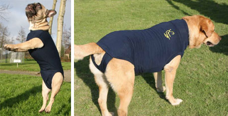 Medical Pet Shirt