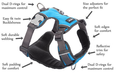 Padded Blue Dog Harness features