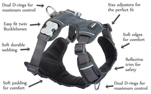 Padded Grey Dog Harness features