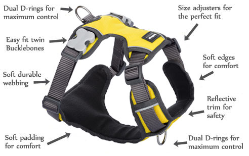 Padded Yellow Dog Harness features