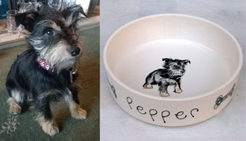 dog bowl with painting of dog from photo