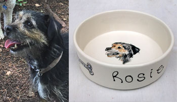 personalised dog bowl dog name and portrait