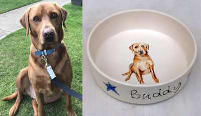 personalised dog portrait bowl
