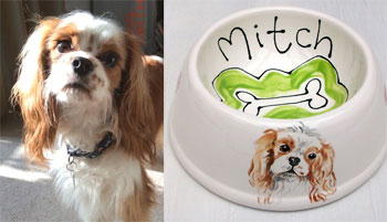 spaniel bowl personalised with dog's name