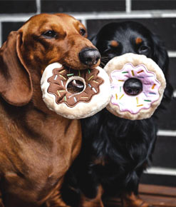 Plush donut dog toys