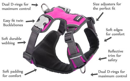 Padded Hot Pink Dog Harness features
