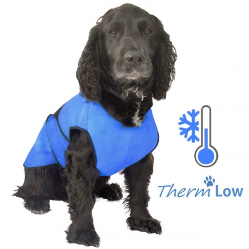 ThermLOW dog cooling coat