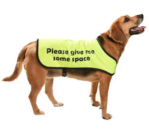 Dog Warning Coat