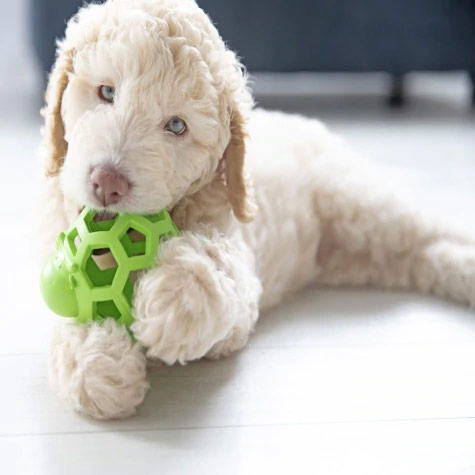 Hol-ee Cow Dog Toy