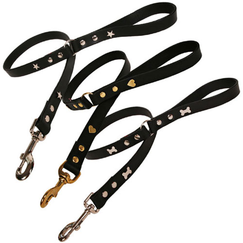 Black Leather Dog Collar Black Leather Dog Collar