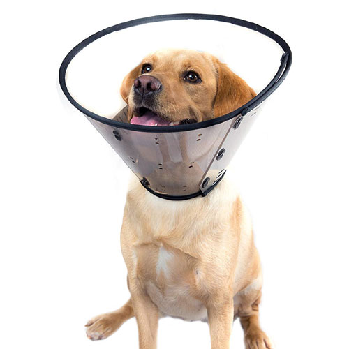 Smart Collar Padded Dog Recovery Collar