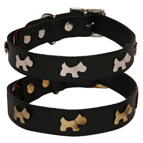 leather-dog-collar-black-dogs.jpg